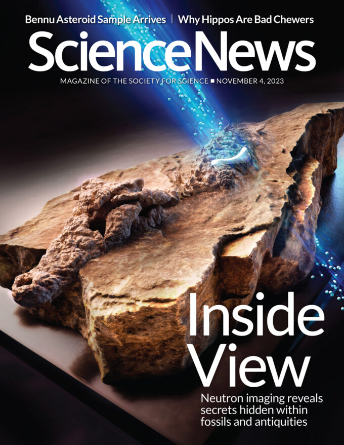 Science-News November 04, 2023 Issue Cover