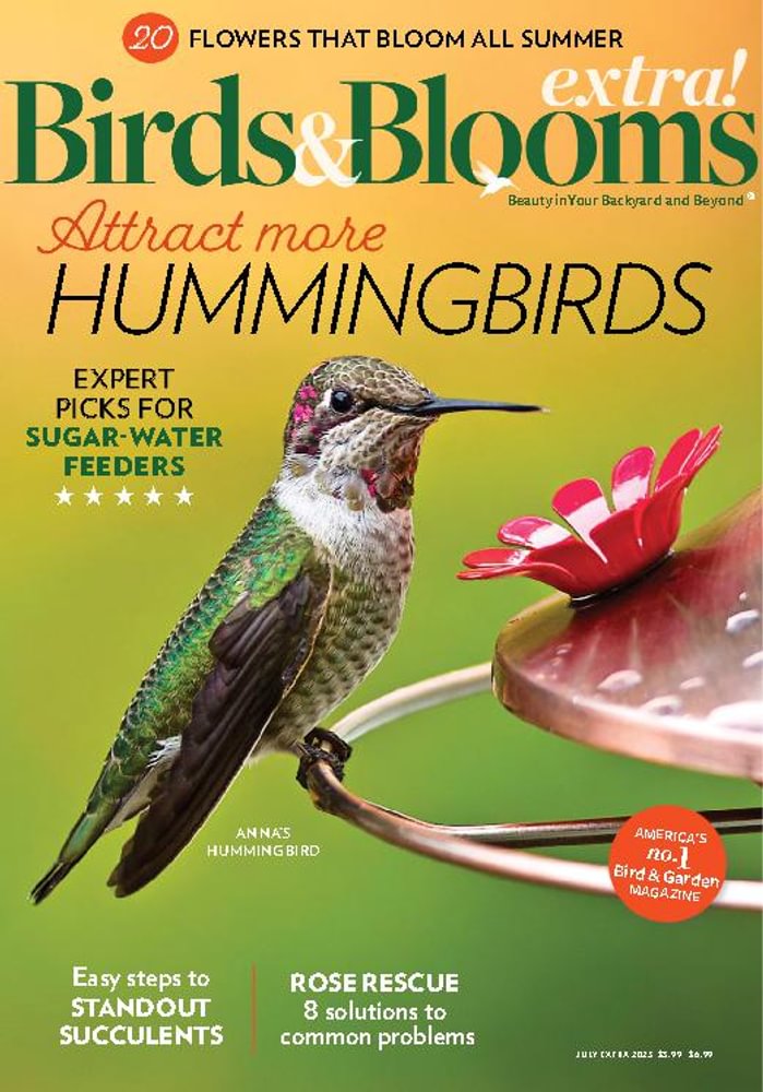 Birds Blooms Extra Subscription