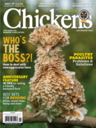 Chickens July 01, 2024 Issue Cover