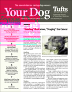 Your-Dog January 01, 2022 Issue Cover