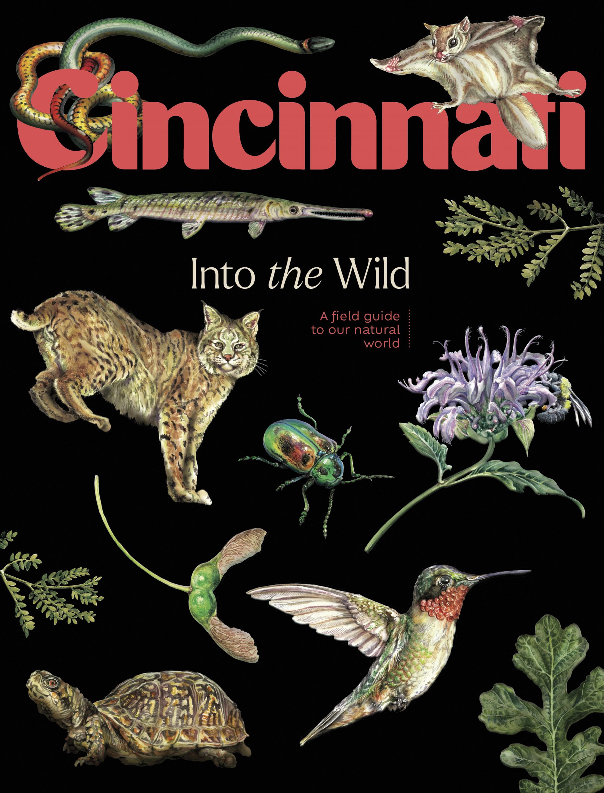 Get Cincinnati Magazine delivered to your doorstep!