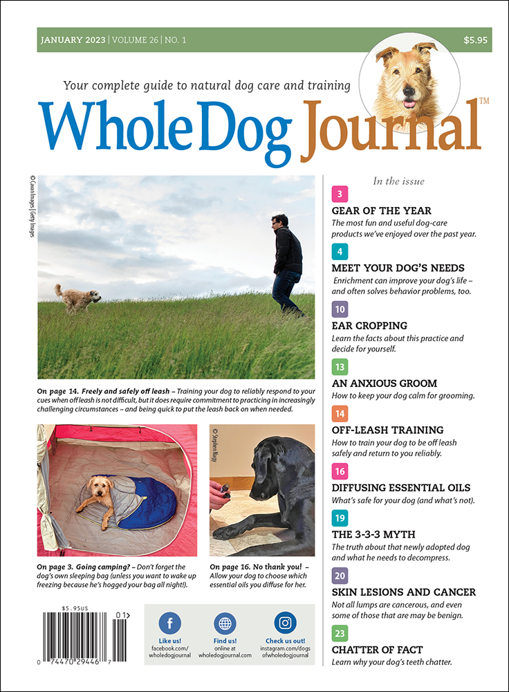 Whole-Dog-Journal January 01, 2023 Issue Cover