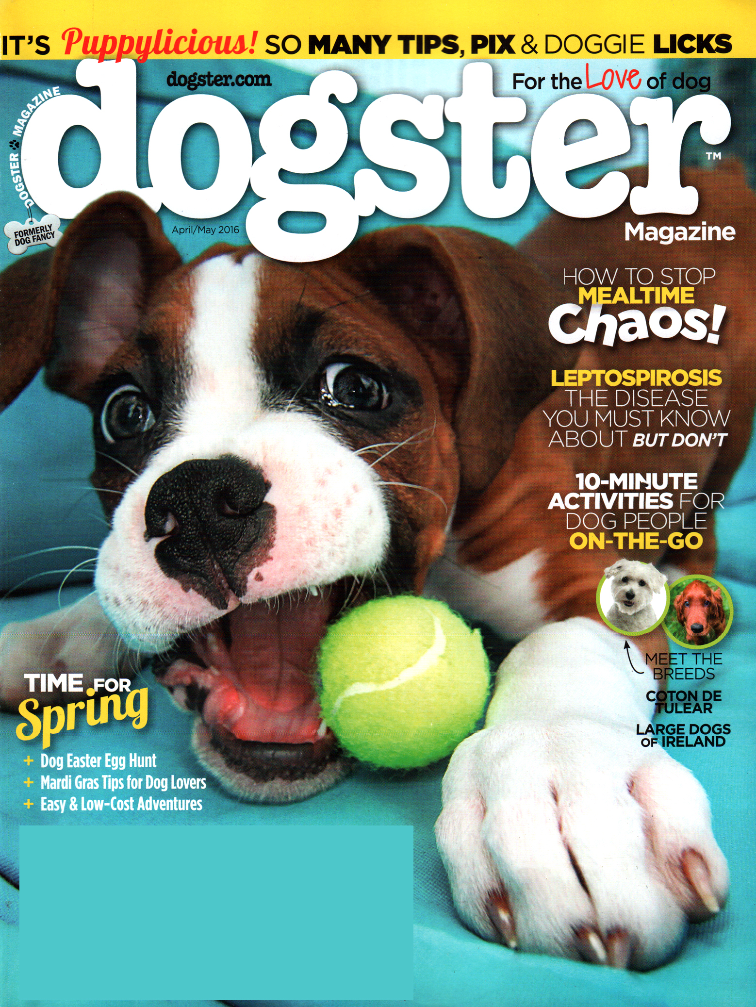Dogster April 01, 2016 Issue Cover