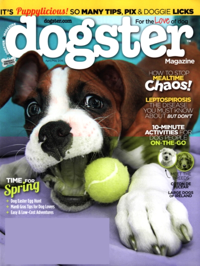 Dogster April 01, 2016 Issue Cover