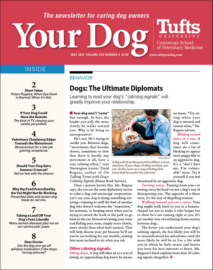 Your-Dog May 01, 2024 Issue Cover