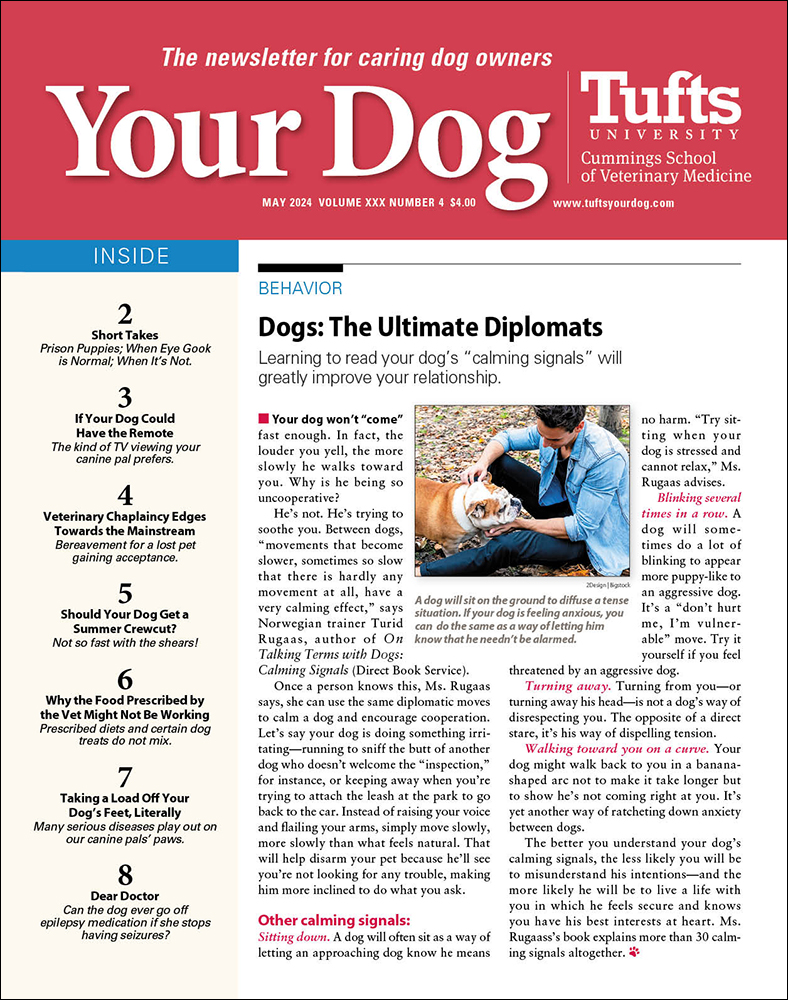 Your-Dog May 01, 2024 Issue Cover
