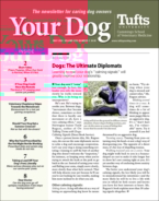 Your-Dog May 01, 2024 Issue Cover