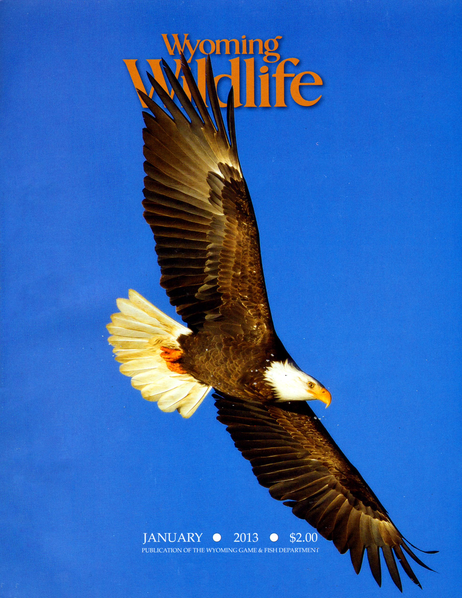 Wyoming-Wildlife January 01, 2013 Issue Cover