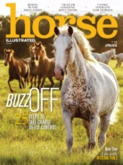 Horse-Illustrated July 01, 2017 Issue Cover