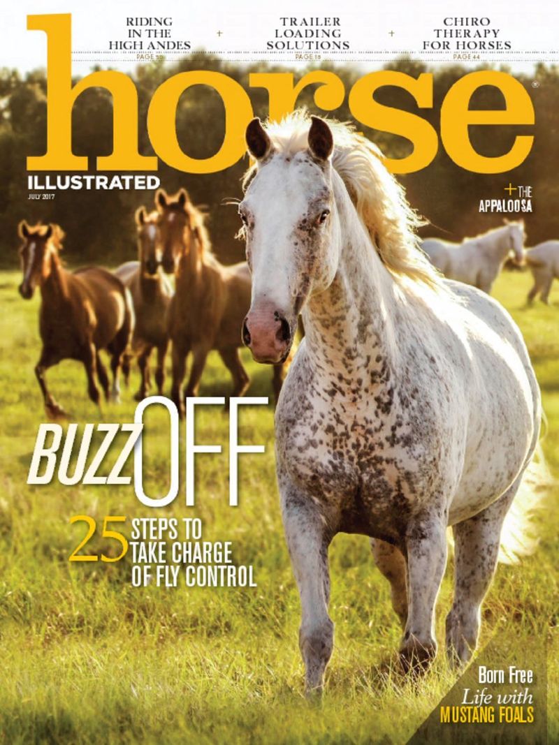 Horse-Illustrated July 01, 2017 Issue Cover