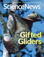 Science-News November 21, 2020 Issue Cover