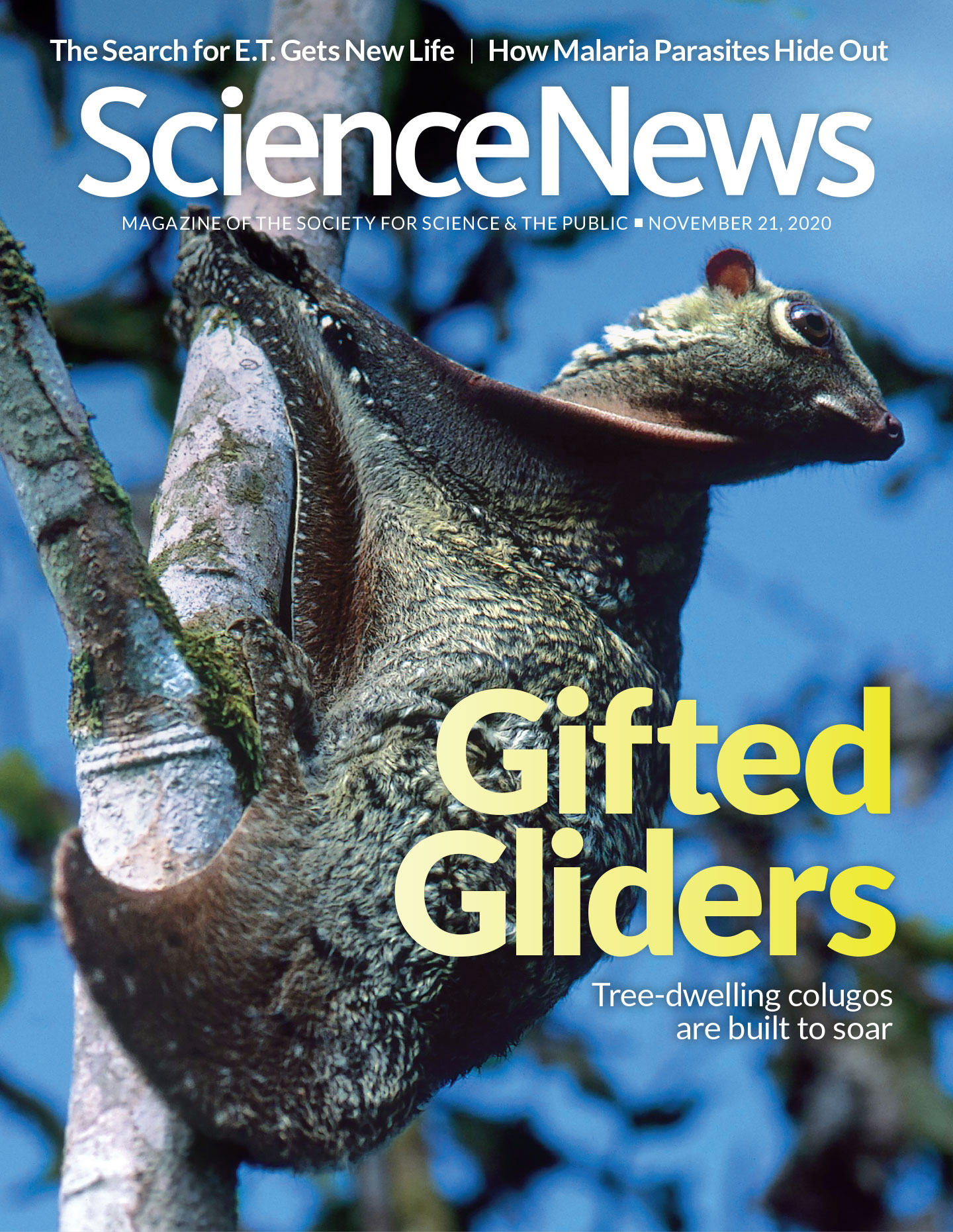 Science-News November 21, 2020 Issue Cover