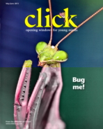 Click May 01, 2013 Issue Cover