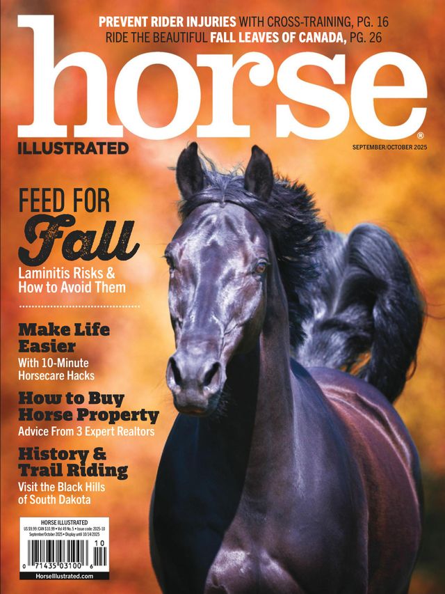 Horse-Illustrated September 01, 2025 Issue Cover