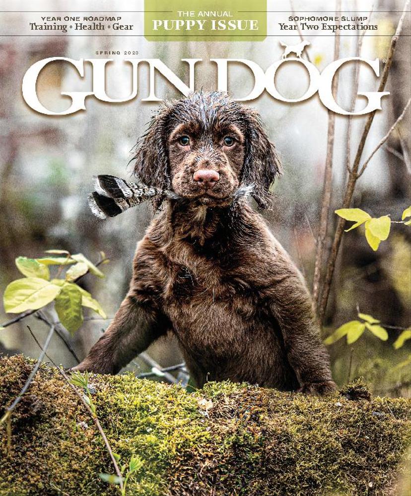 Gun-Dog March 01, 2023 Issue Cover