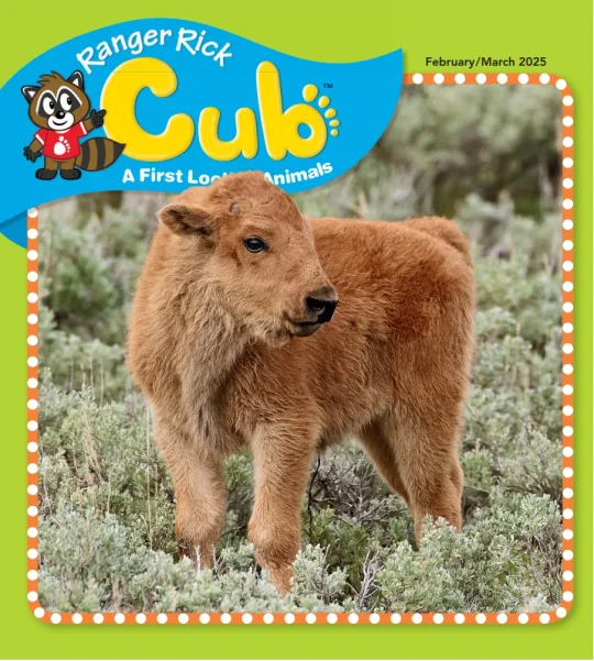 Ranger Rick Cub February 01, 2025 Issue Cover