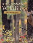 Arkansas Wildlife July 01, 2026 Issue Cover