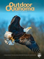 Outdoor Oklahoma July 01, 2026 Issue Cover