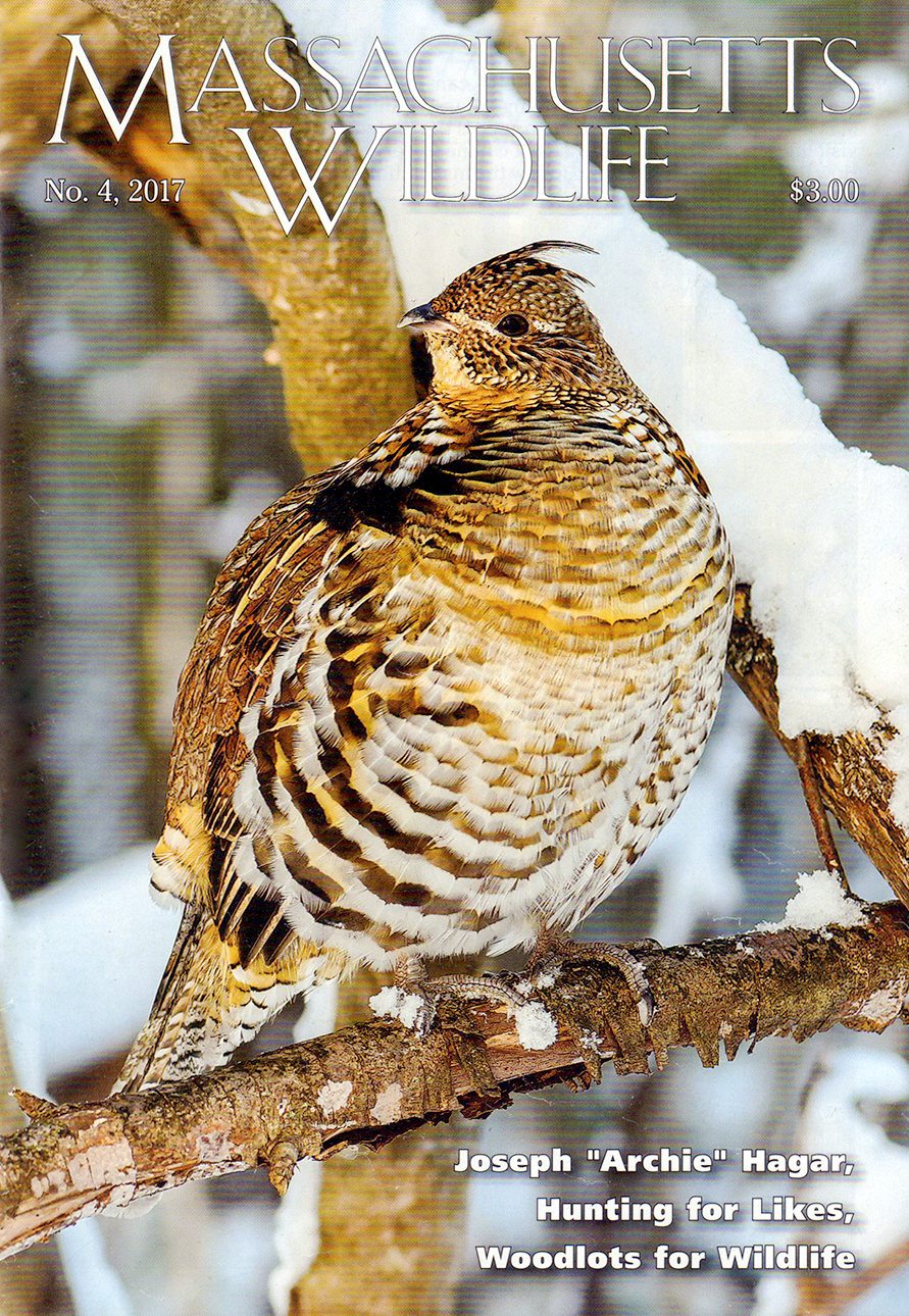 Massachusetts-Wildlife December 01, 2017 Issue Cover