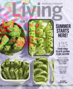 Martha-Stewart-Living June 01, 2017 Issue Cover