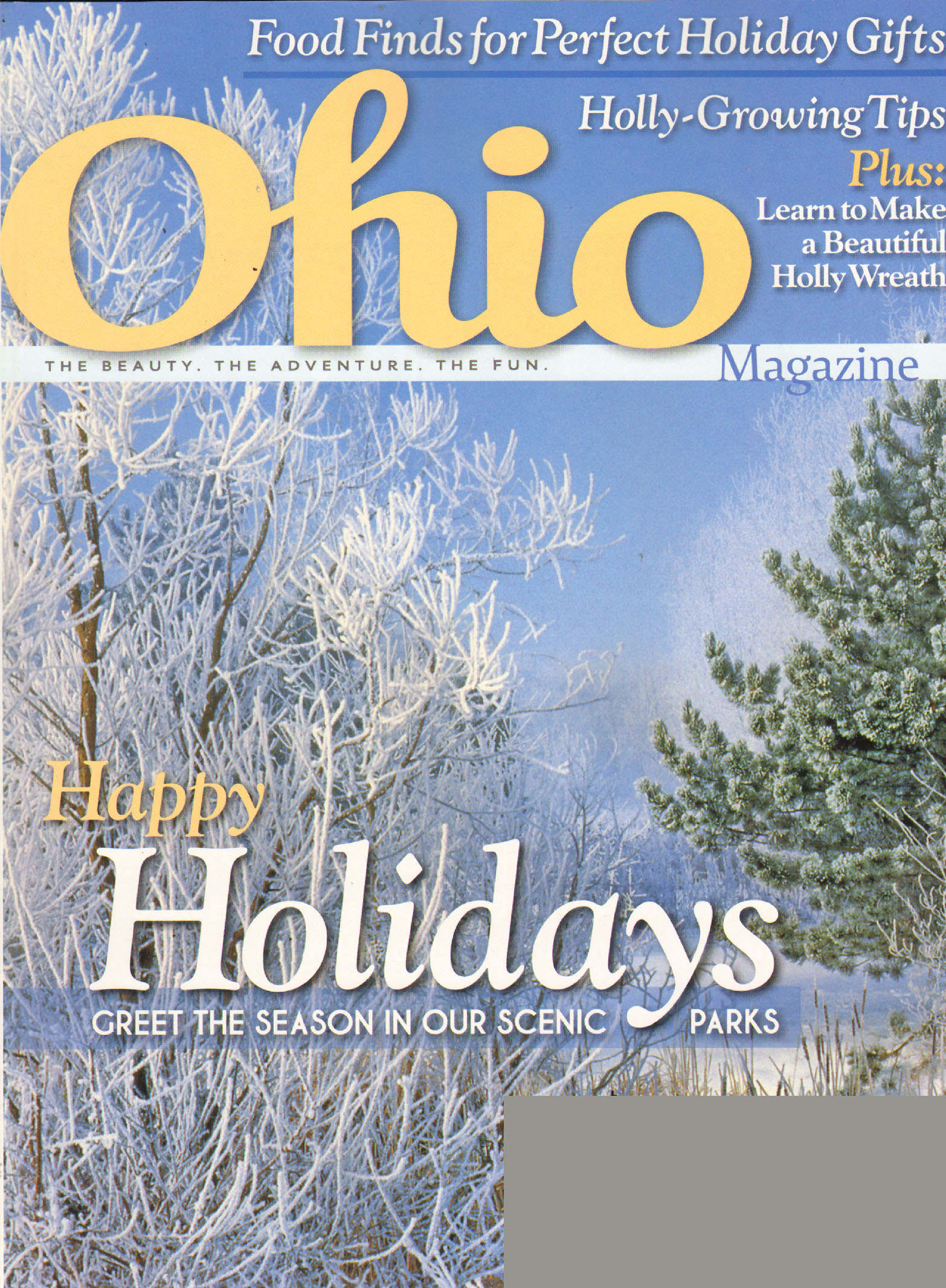 Ohio-Magazine December 01, 2010 Issue Cover