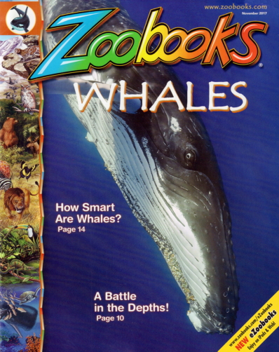 Zoobooks November 01, 2017 Issue Cover