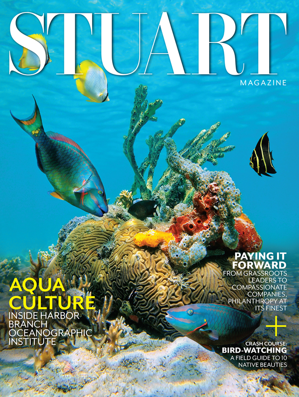 Stuart October 01, 2020 Issue Cover