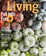 Martha-Stewart-Living October 01, 2016 Issue Cover