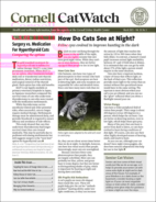 Catwatch March 01, 2025 Issue Cover