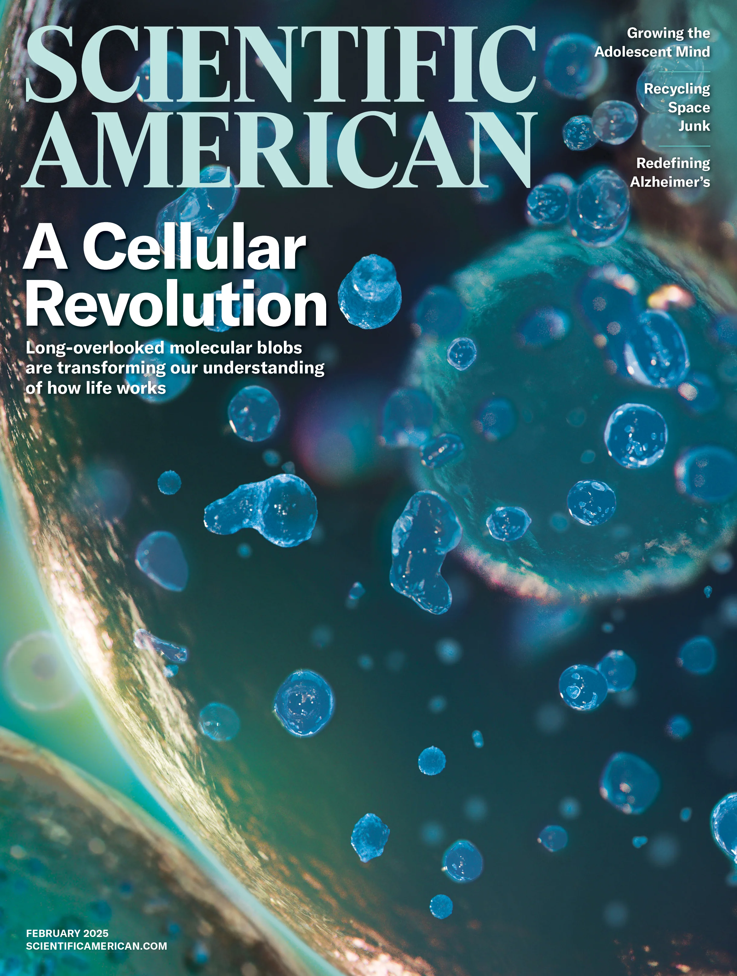 Scientific-American February 01, 2025 Issue Cover