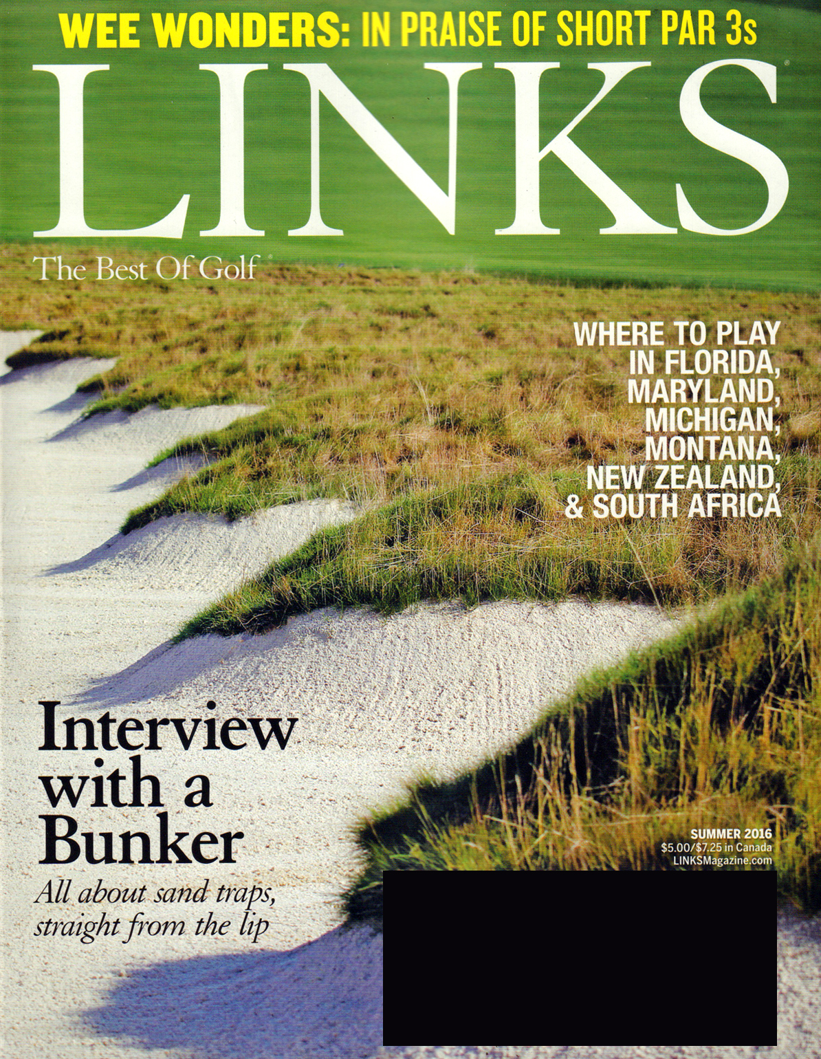 LINKS June 01, 2016 Issue Cover