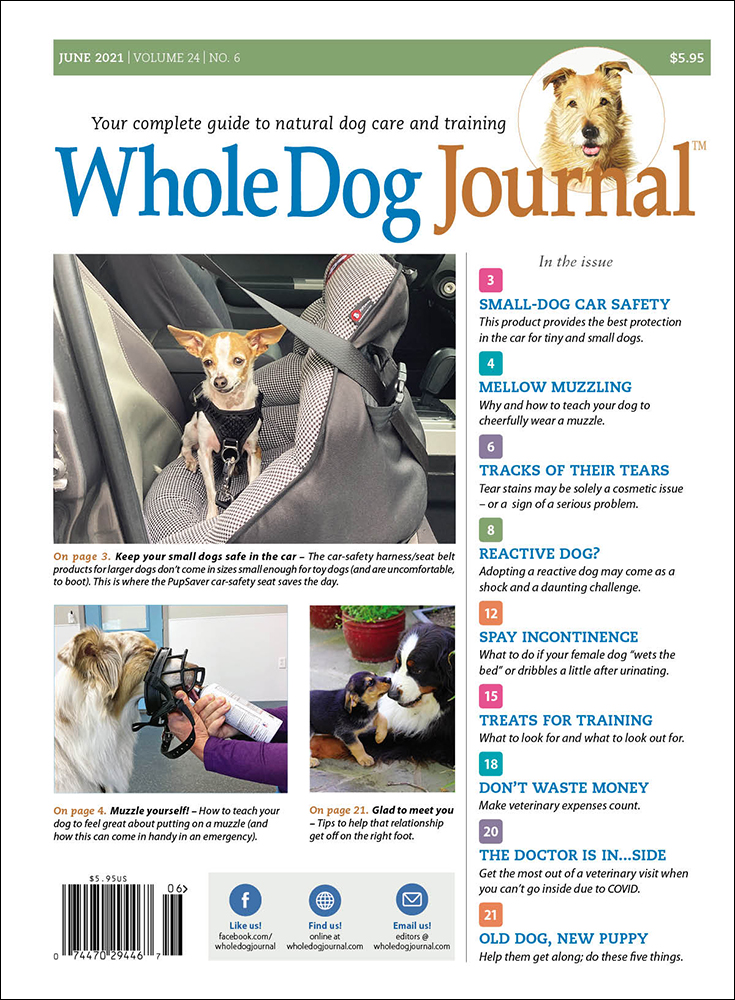 Whole-Dog-Journal June 01, 2021 Issue Cover