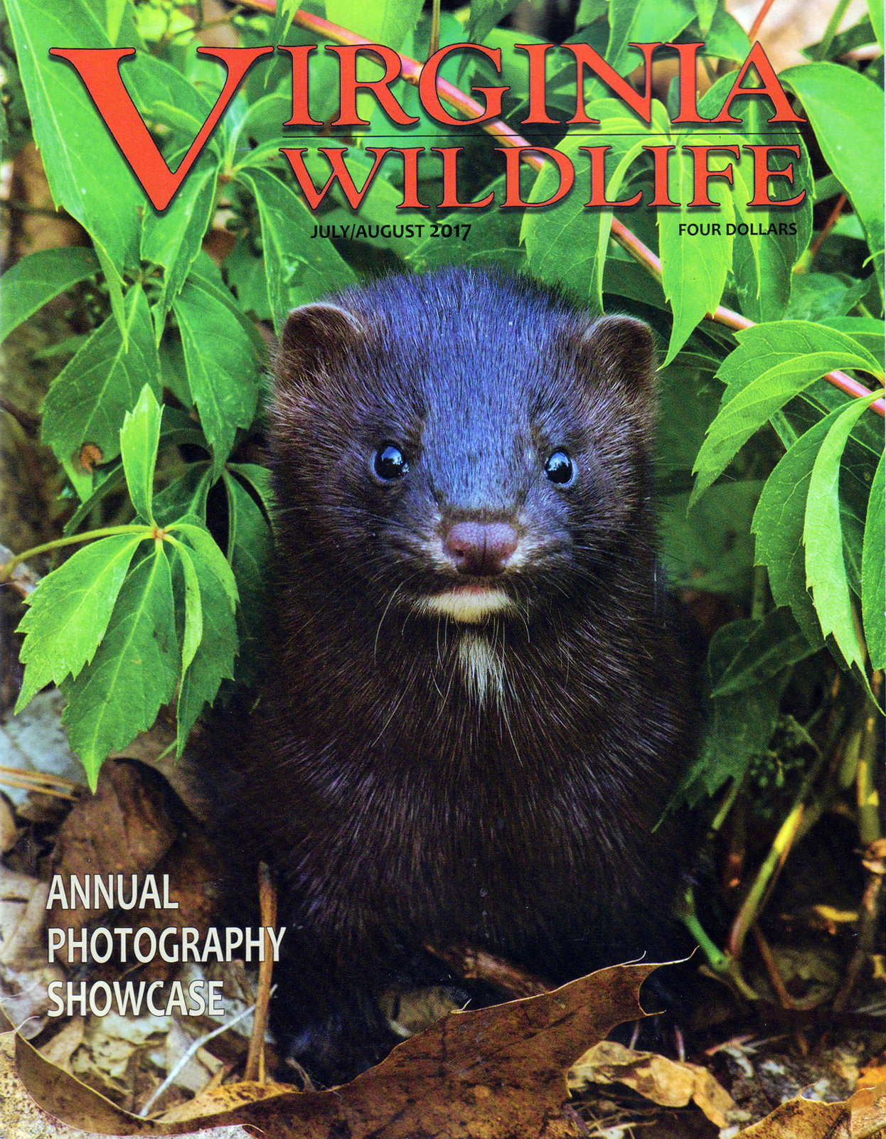 Virginia-Wildlife July 01, 2017 Issue Cover