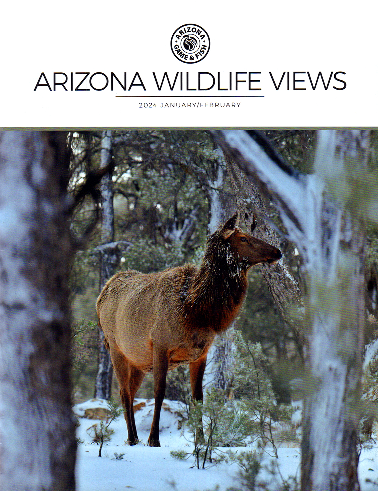 Arizona-Wildlife-Views January 01, 2024 Issue Cover