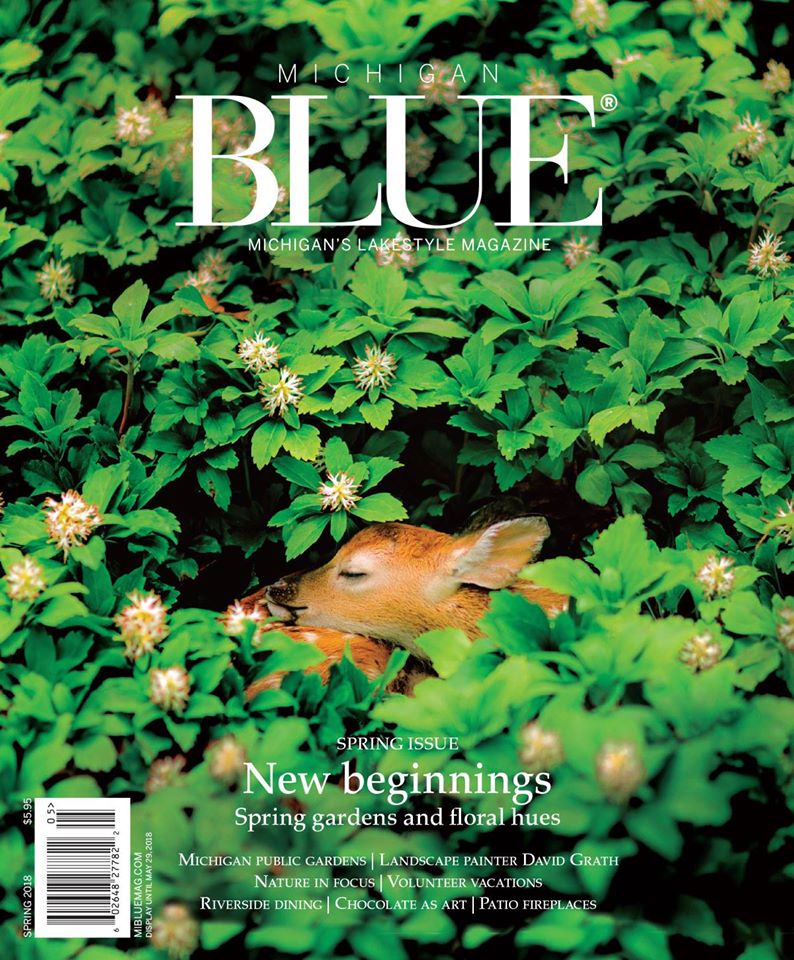 Michigan-Blue April 01, 2018 Issue Cover