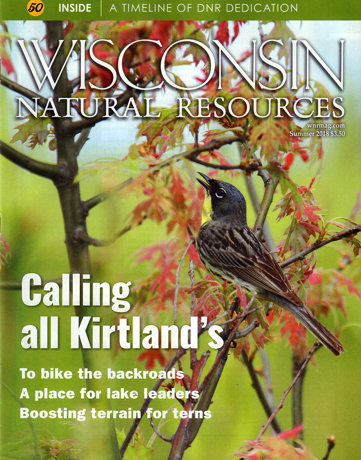 Wisconsin-Natural-Resources June 01, 2018 Issue Cover