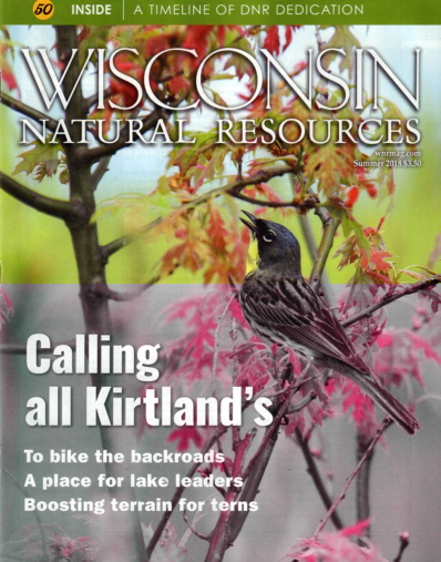 Wisconsin Natural Resources June 01, 2018 Issue Cover
