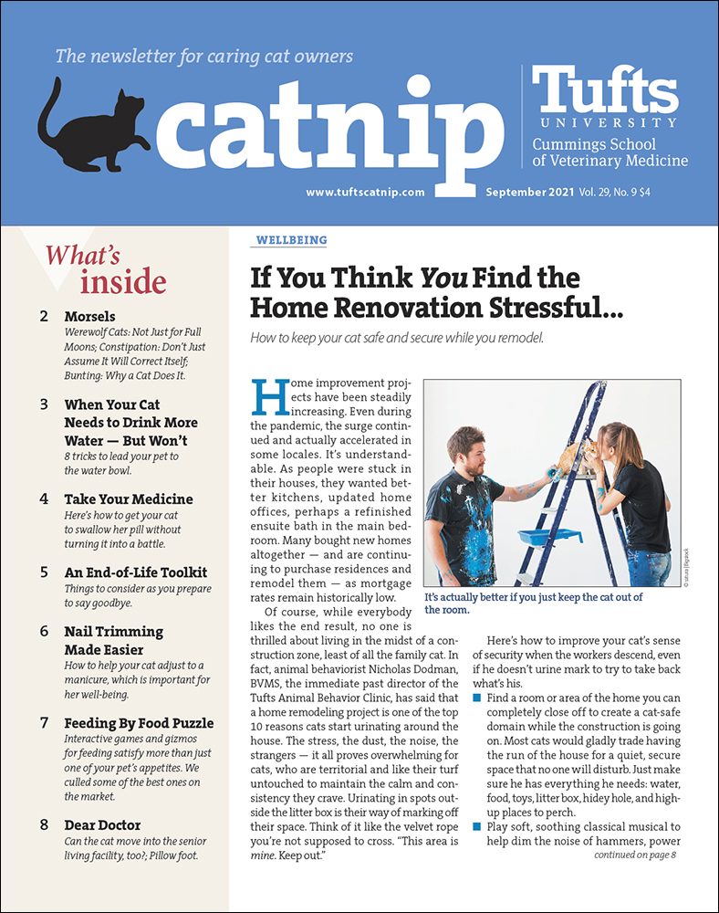 Catnip September 01, 2021 Issue Cover