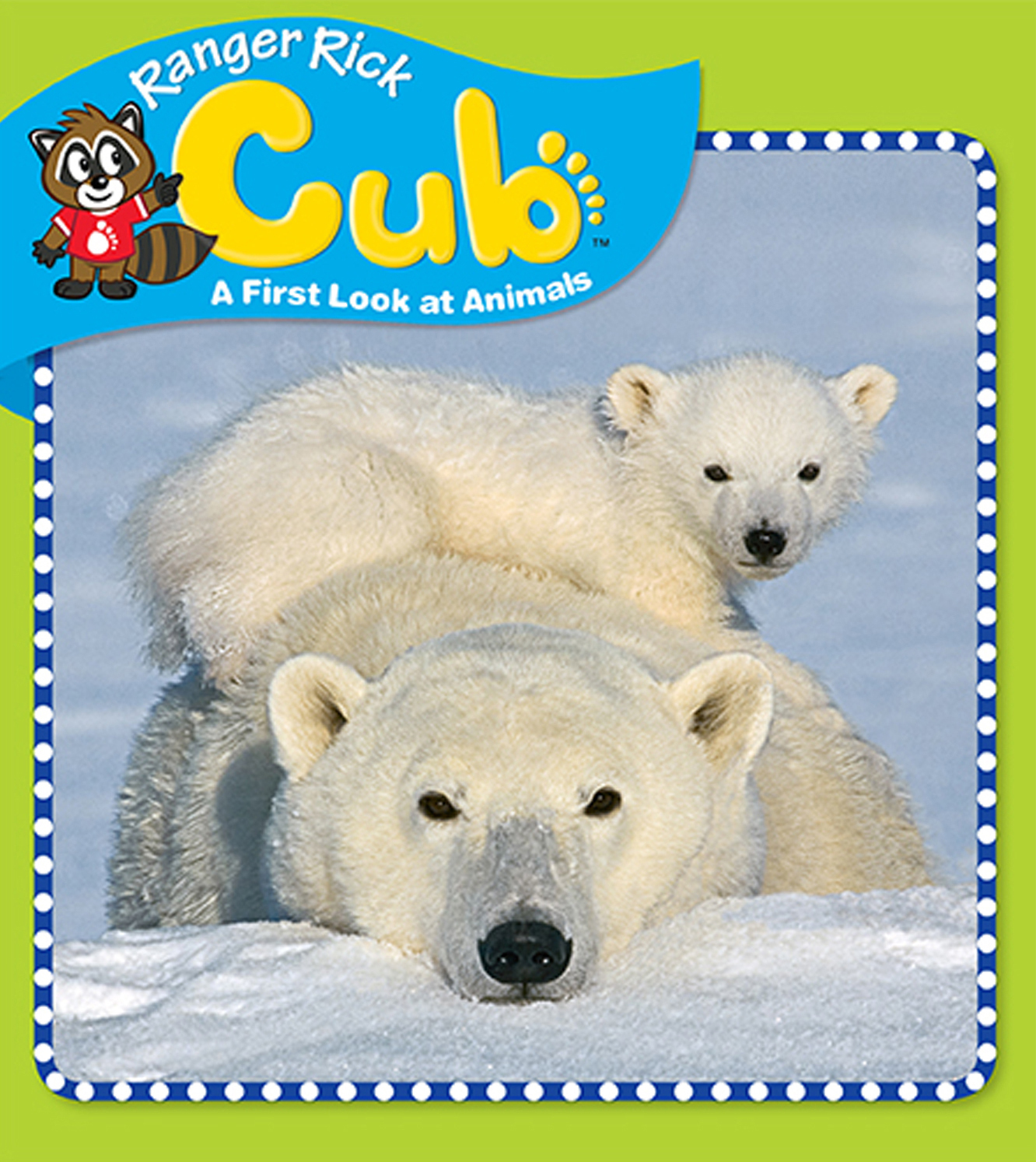 Ranger-Rick-Cub February 01, 2017 Issue Cover