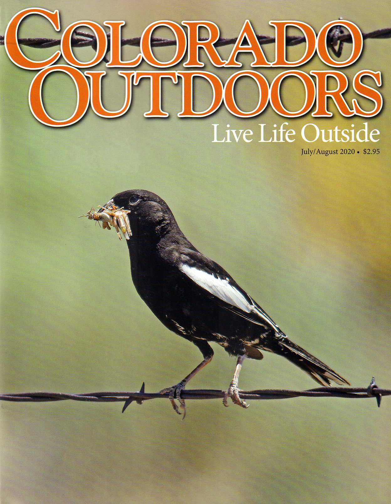 Colorado-Outdoors July 01, 2020 Issue Cover