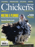 Chickens September 01, 2026 Issue Cover