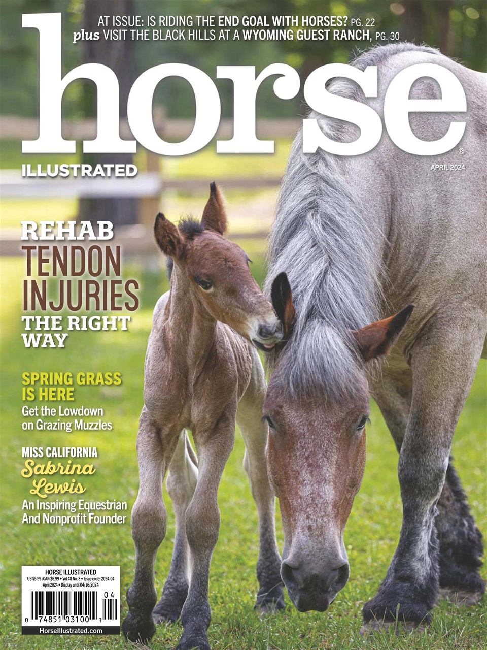Horse-Illustrated April 01, 2024 Issue Cover