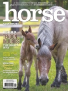 Horse-Illustrated April 01, 2024 Issue Cover