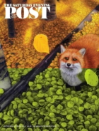 The-Saturday-Evening-Post September 01, 2023 Issue Cover