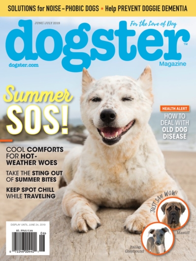 Dogster June 01, 2019 Issue Cover