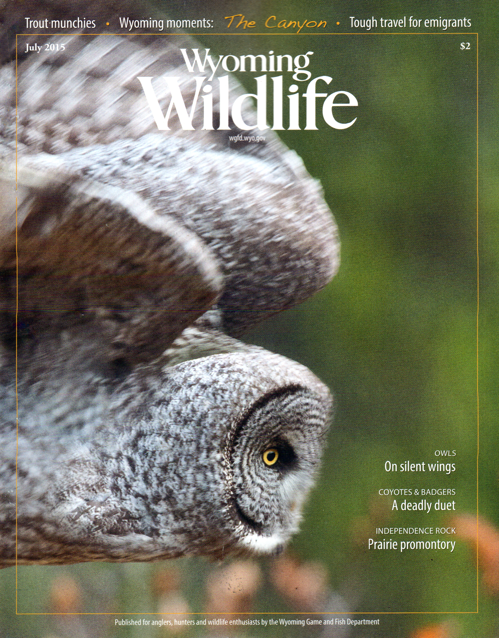 Wyoming-Wildlife July 01, 2015 Issue Cover