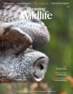 Wyoming-Wildlife July 01, 2015 Issue Cover