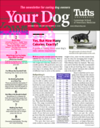 Your-Dog December 01, 2020 Issue Cover
