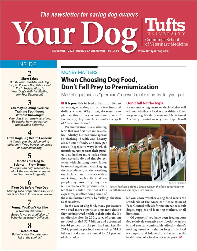 Your-Dog September 01, 2022 Issue Cover