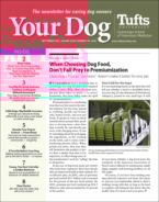 Your-Dog September 01, 2022 Issue Cover